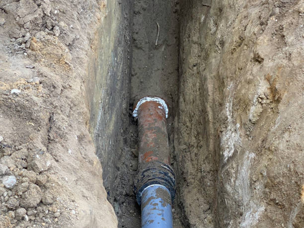 Best Sewage cleanup and water damage restoration  in Sky Lake, FL