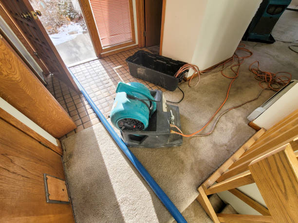 Best Flood damage cleanup  in Sky Lake, FL