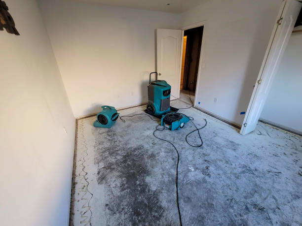 Trusted Sky Lake, FL Water damage restoration Experts