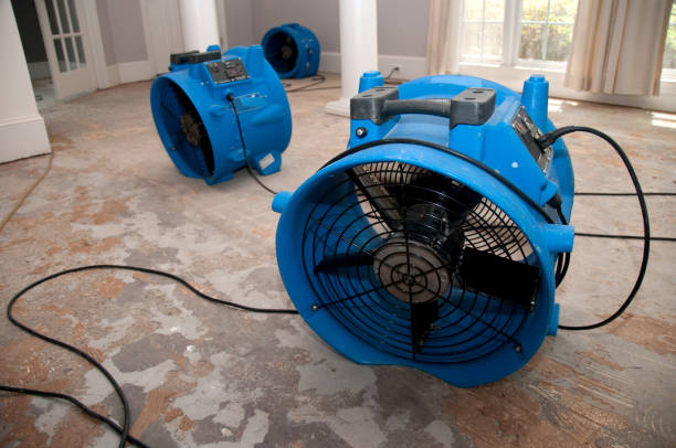 Best Flood restoration services  in Sky Lake, FL