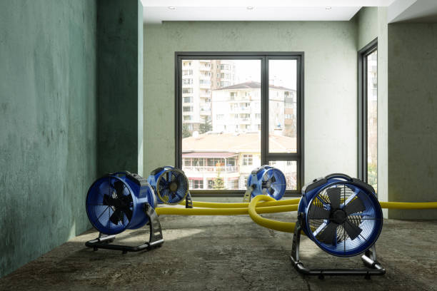 Best 24/7 water damage repair  in Sky Lake, FL