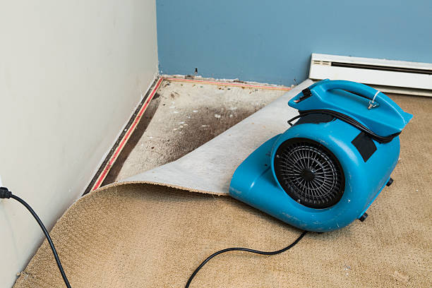 Best Flooded house restoration  in Sky Lake, FL